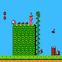 Super Mario Bros 2